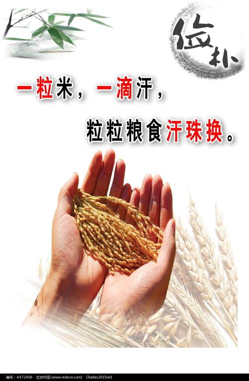 做个日本宇都宮大學学位证